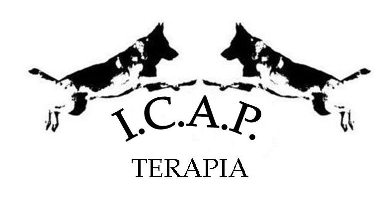 Icap teràpia